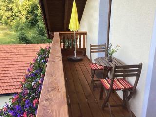 Haus Peschl Fewo 2 - Neureichenau - 9