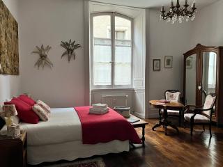 Châtel Rose - Historical Centre with Garden - Blois - 8