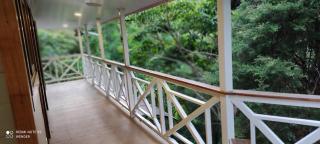 Green House by W. - 5