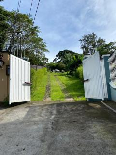 Green House by W. - 7