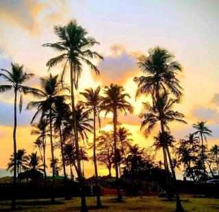 Chillies Guest House - Arambol - 9