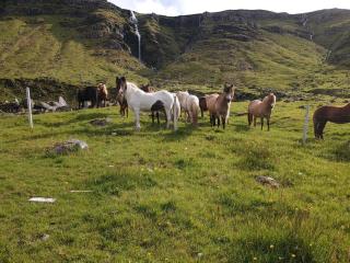 Kirkjufell View Cottages - 7