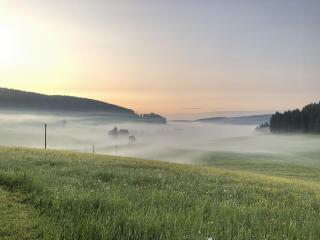 Rengethof - Eisenbach - 6