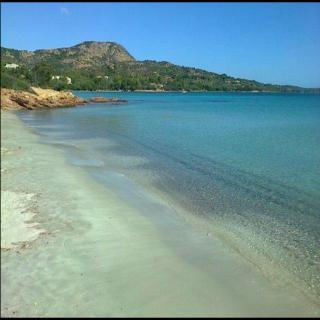 Casa Turchese - Olbia - 1