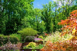 Rural Pet Friendly Apartment Near Salisbury - Winterbourne Dauntsey - 7