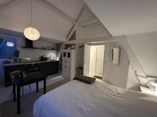 B&B oude centrum Den Haag - Haia - 5