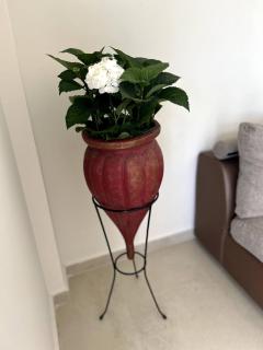 Secluded Paradise in Nikiti, Greece - Lanna Apartment - Nikiti - 1