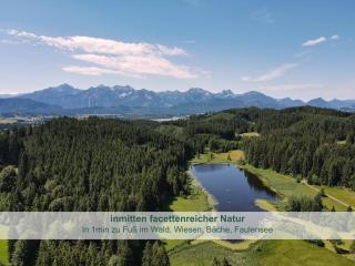 Biohof Stöger Adults Only Chalet mit Blick auf Schloss Neuschwanstein See und Alpen nur 2 Einheiten - 9