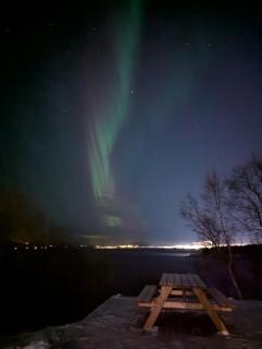 Senja - Charming cottage by the sea with terrace and fantastic view - Finnsnes - 8