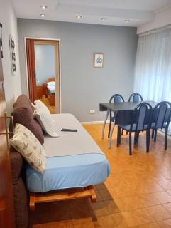 Departamento del centro - Mar del Plata - 0