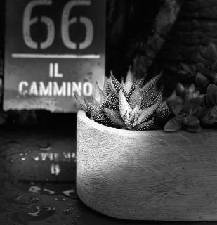 Il Cammino - 0