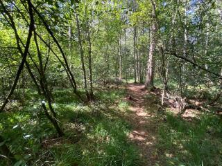 Cottage entier 4 ou 6 personnes gîte 19 - 1