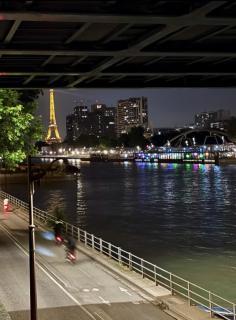 Fantin Latour studio confortable 2P Seine et tour Eiffel - Paris - 9