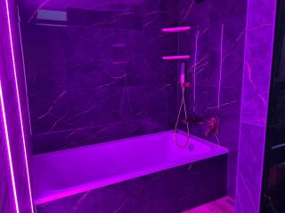 Penthouse with large terrace 5 km from Basel - Reinach - 7