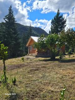 Cabaña Patriada Ranch - El Hoyo - 1