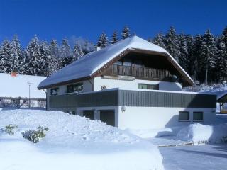 Ferienwohnung Bienek Schluchsee - Schluchsee - 5