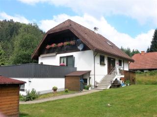 Ferienwohnung Bienek Schluchsee - Schluchsee - 7
