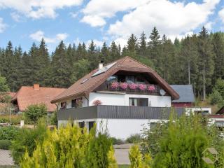 Ferienwohnung Bienek Schluchsee - Schluchsee - 0