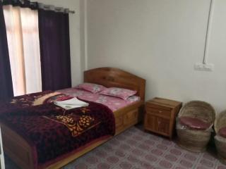 Kanchankanya Homestay - Mangpu - 4