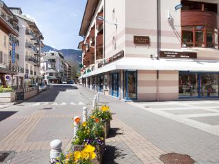 Studio 4 Pers avec Balcon et Wifi au Centre de Brides-les-Bains, Proche Thermes et Remontées Mécaniques - FR-1-512-278 - Brides-les-Bains - 3