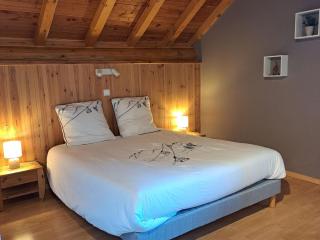 Chalet 4* 8 pers, Animaux admis, Wifi, Parking à Valloire - FR-1-263-542 - Valloire - 5