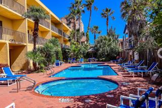 VENTURA 201 condo - South Padre Island - 6