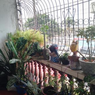 Casa mobiliada 04 quartos - 7