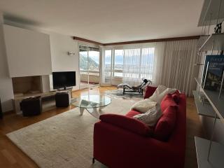 Azalee Lake View - Minusio - 9