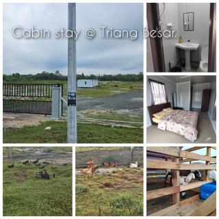 Cabin stay Triang Besar - - 0