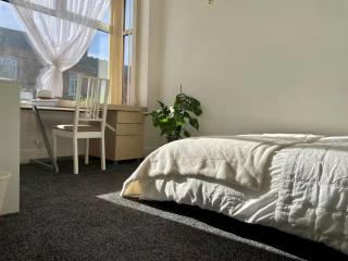 Rarely NEW! Sunning King-bed with a mini fridge, delicate work space and breakfast in a 3-bed cosy house, super quiet and full of hospitality - Birmingham - 8