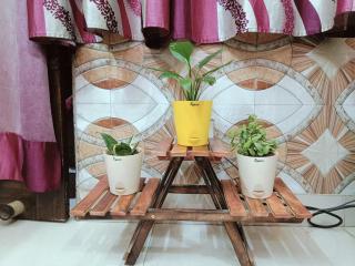 Backpacker's Homestay - Nuova Delhi - 1