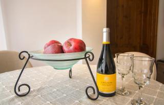 Tatyana City garden - 4