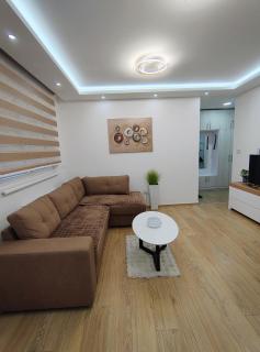 Apartman Vanesa - Banja Koviljača - 4
