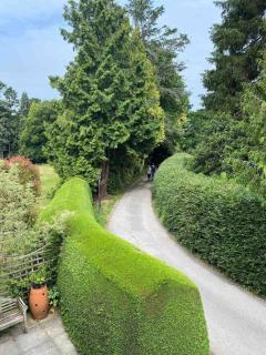 Hedgerows House New Forest - 2