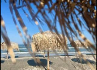 Apartament Studio Saphir - Mamaia Sat/Năvodari - 4