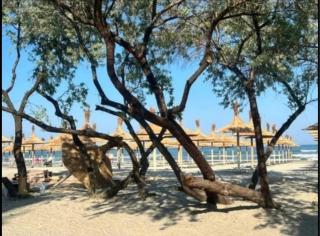 Apartament Studio Saphir - Mamaia Sat/Năvodari - 3