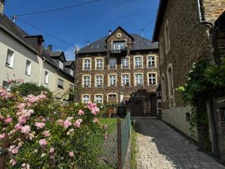 Moselblick im Denkmal - Zell an der Mosel - 5