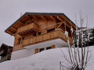 Chalet individuel avec Wi-Fi, parking privé et animaux acceptés - FR-1-671-58 - 0