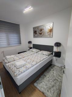 Apartman Nesa - Banja Koviljača - 2