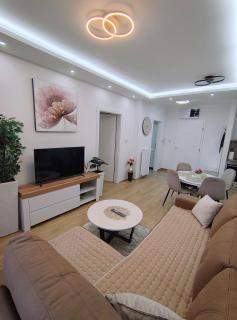 Apartman Nesa - Banja Koviljača - 1