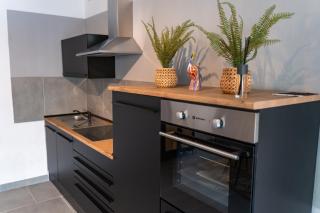 EIN Zi APARTMENT ZENTRUM WLAN PARKPLATZ 01 - Offenbach - 7