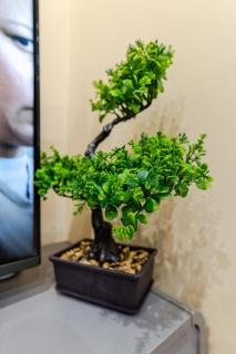 Cozy Modern Flat Walsall Town Centre with Wi-Fi - 6