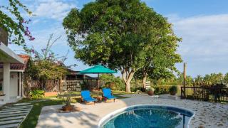 Aite Eco Resort - Palomino - 1