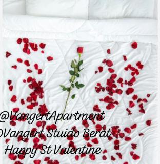 Vangert Studio Apartment - Berat - 7