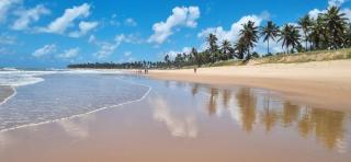 Belíssimo apartamento - Mata de Sao Joao - 0