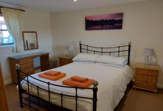 Little Owl at Bejowan Barns - 2