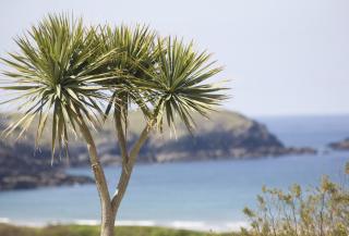 Cinq 5 Zinc in Fistral, Newquay - 1