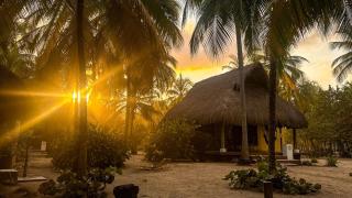 Aite Eco Resort - Palomino - 5
