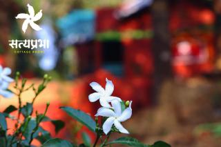 Satyaprabha Cottage Rooms - Kudal - 5