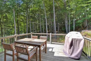 Fireplace Woods Club Access - Modern Quechee - Quechee - 7